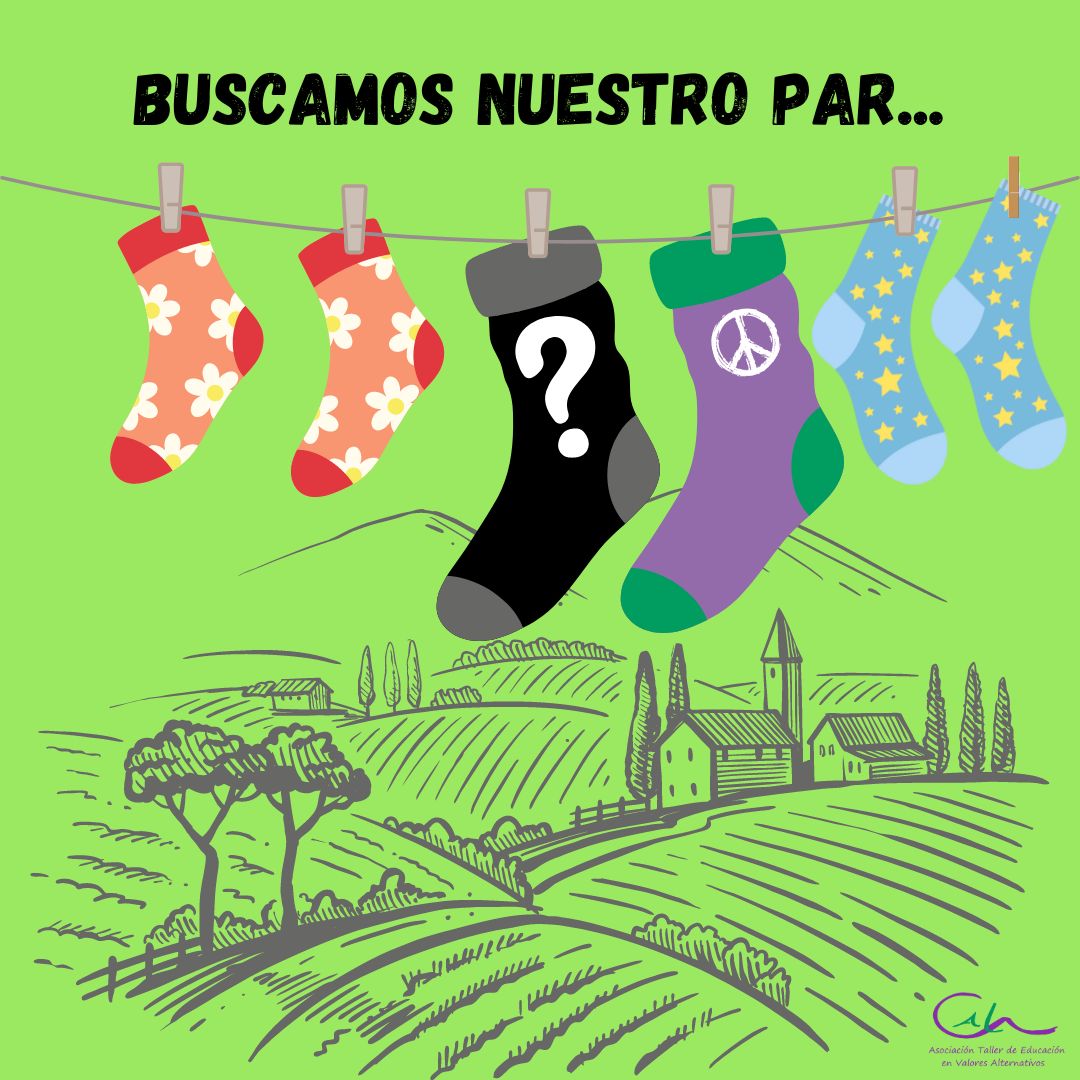 EN BUSCA DEL CALCETÍN PERDIDO...